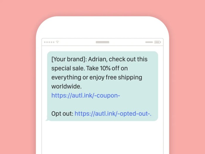 SMS Marketing Messages To Drive Sales Most Common Types Of Direct ...