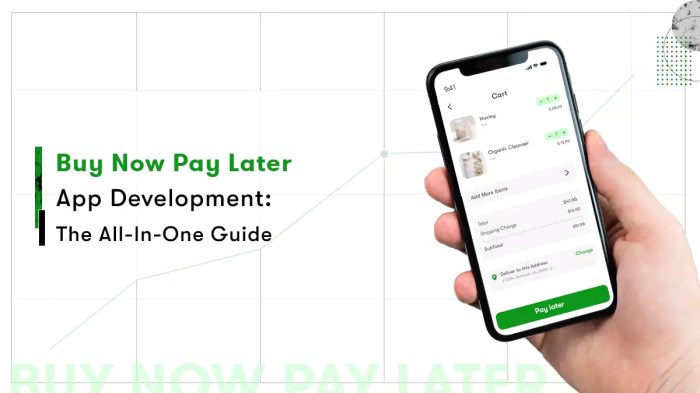 How Buy Now Pay Later (BNPL) Helps Your Business Grow